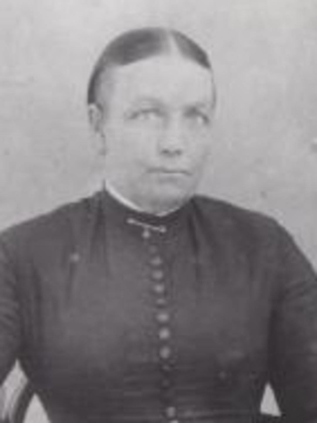 Sarah Cornelia Merrill (1843 - 1926) Profile